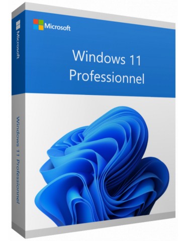 Microsoft Windows 11 Professionnel 64 bits Anglais (Licence originale + DVD) (FQC-10528)